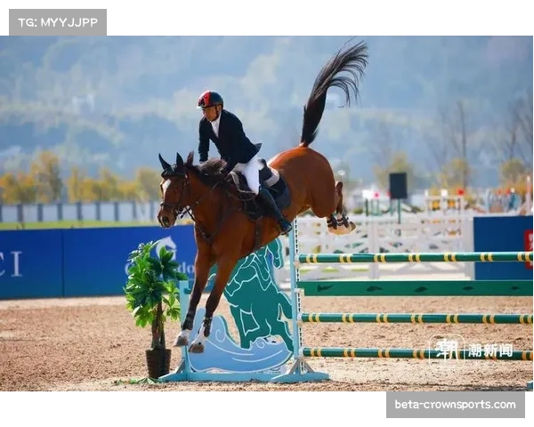 智能鞍具在马术赛事中的应用：骑手姿态与马匹运动数据监测